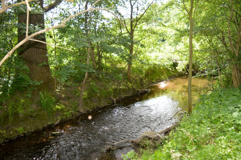 Beuster