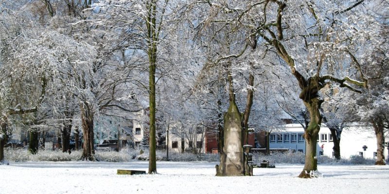 Marienfriedhof