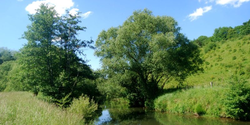 Naturschutzgebiet Am roten Steine