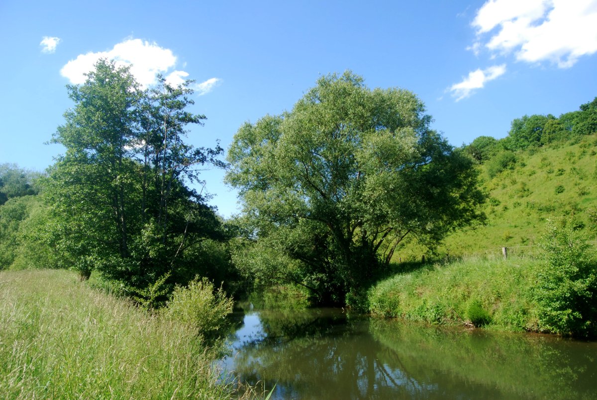 Naturschutzgebiet Am roten Steine