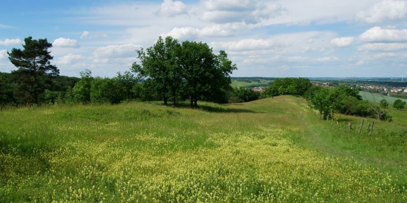 Naturschutzgebiet Gallberg