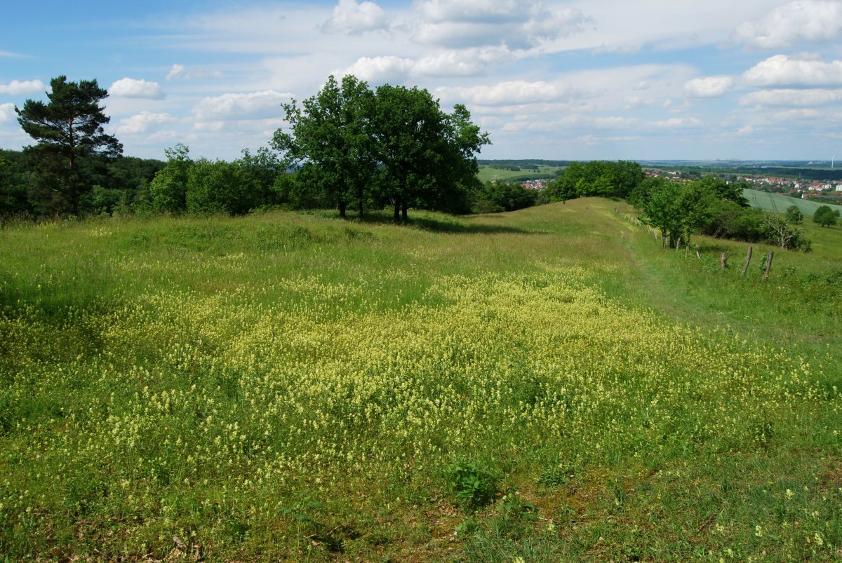 Naturschutzgebiet Gallberg