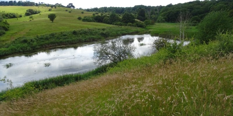 Naturschutzgebiet Giesener Teiche