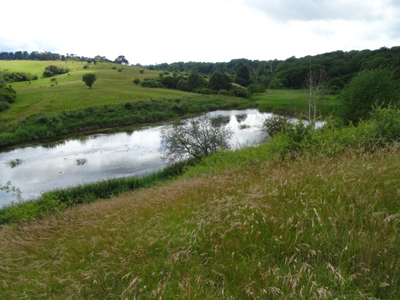 Naturschutzgebiet Giesener Teiche