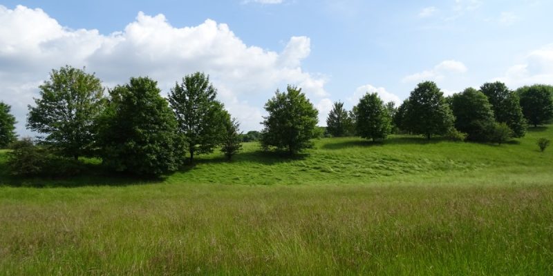 Naturschutzgebiet Lange Dreisch und Osterberg