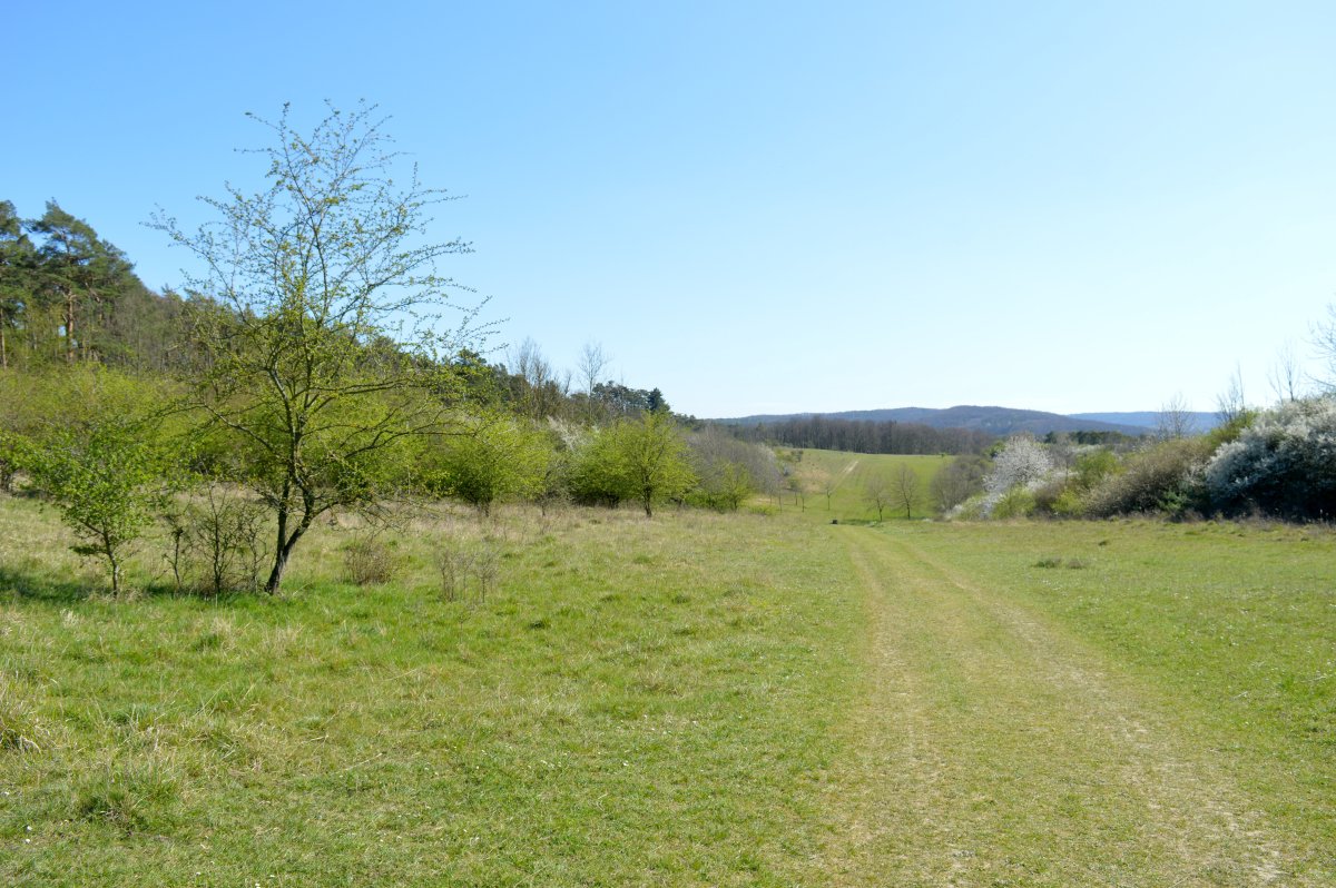 Osterberg (West 1)