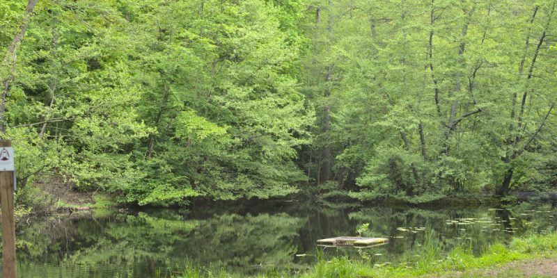 Schloßweiher