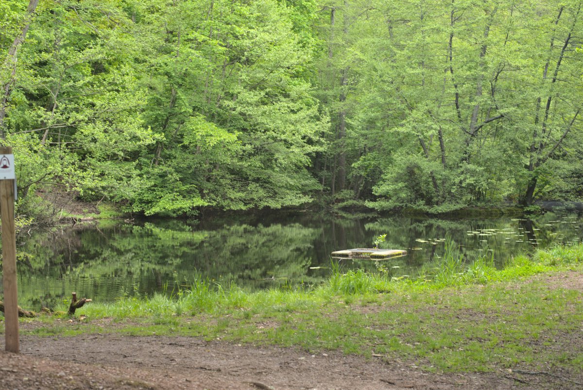 Schloßweiher