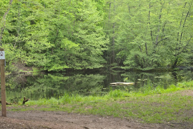 Schloßweiher