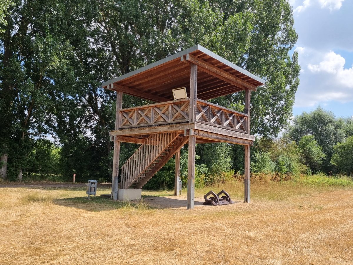 Auenaussichtsturm