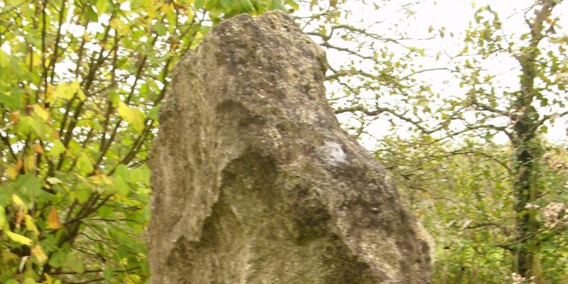 Menhir von Wackernheim