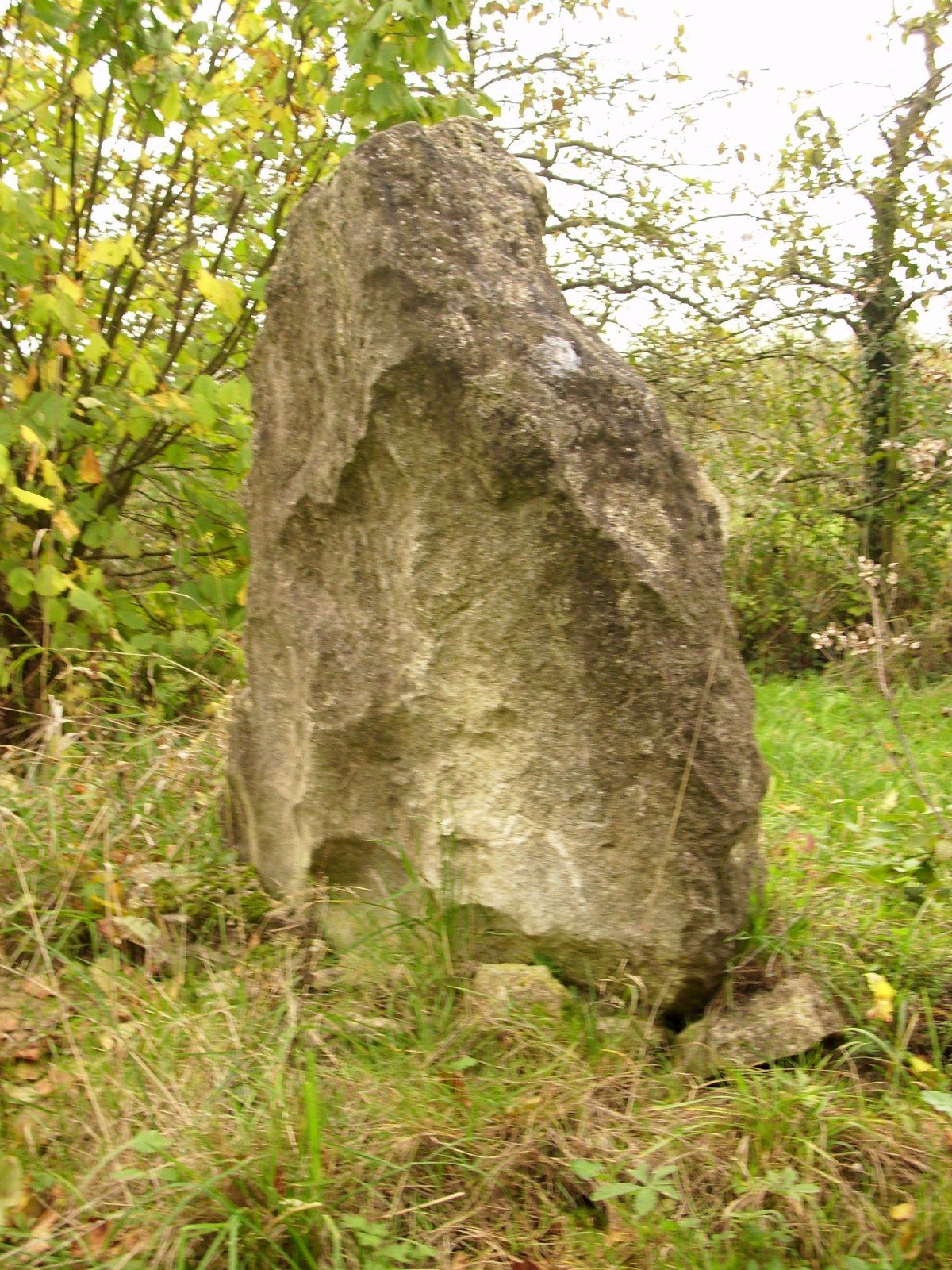 Menhir von Wackernheim