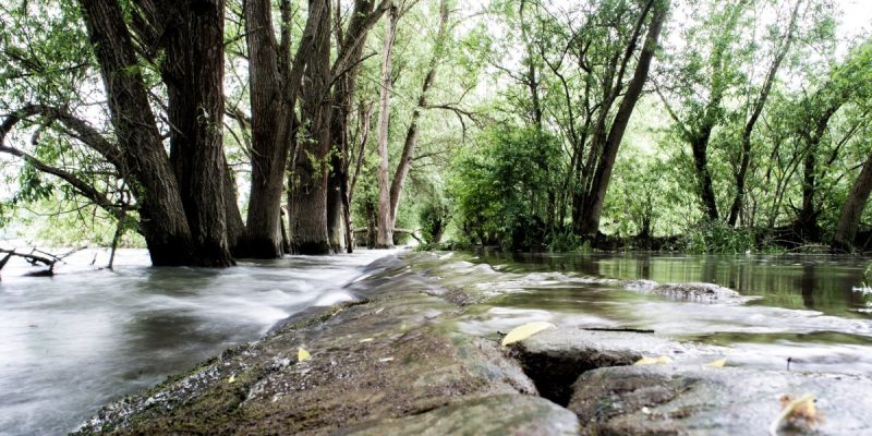 Naturschutzgebiet Haderaue-Königsklinger Aue