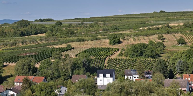 Naturschutzgebiet Hangflächen südöstlich Heidesheim