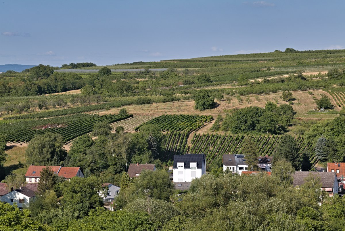 Naturschutzgebiet Hangflächen südöstlich Heidesheim