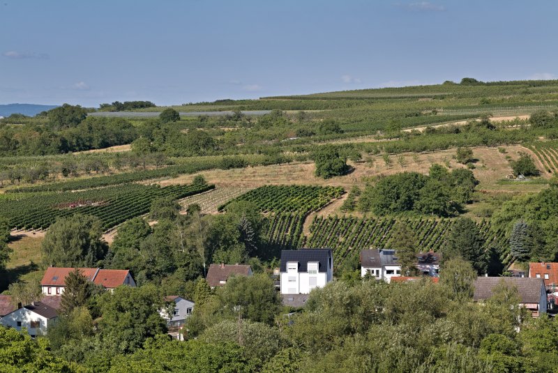 Naturschutzgebiet Hangflächen südöstlich Heidesheim