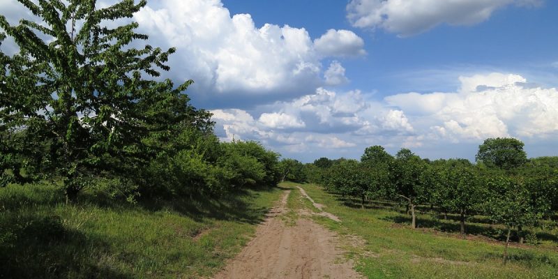 Naturschutzgebiet Höllenberg