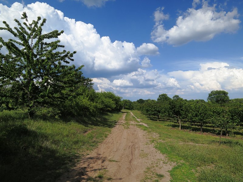 Naturschutzgebiet Höllenberg