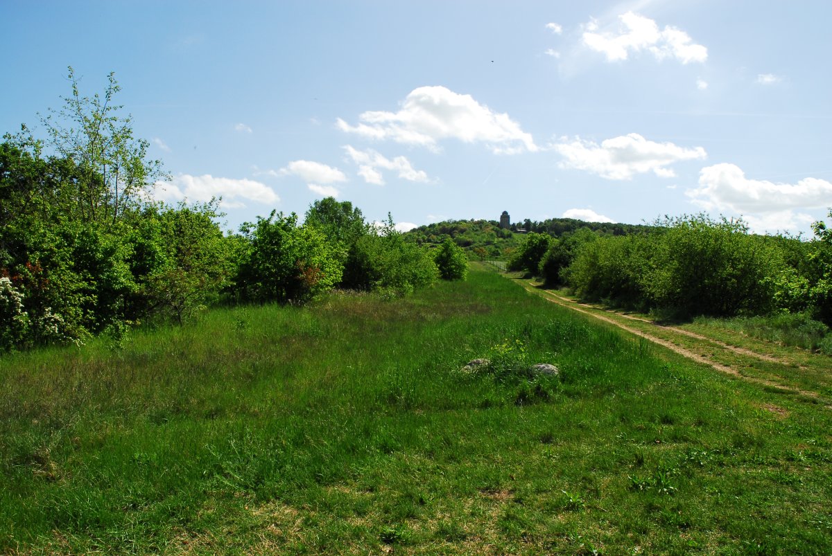 Naturschutzgebiet Nordausläufer Westerberg
