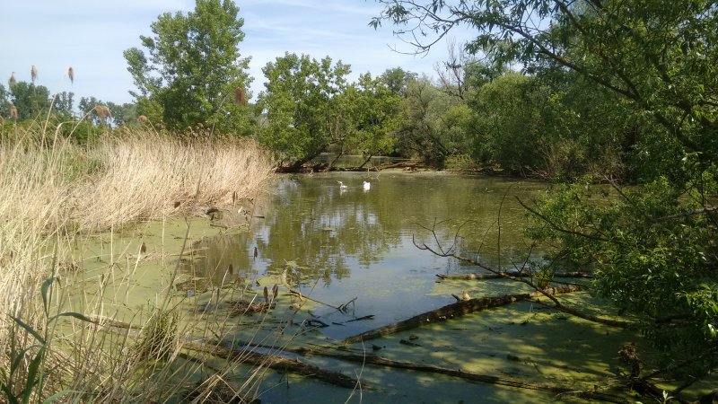 Naturschutzgebiet Sandlache