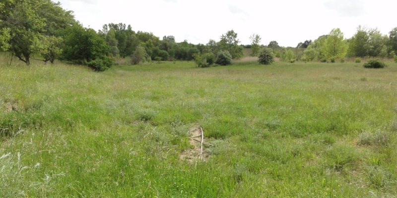 Sandgrube am Weilersberg