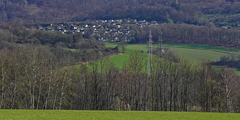 Auf der Saat