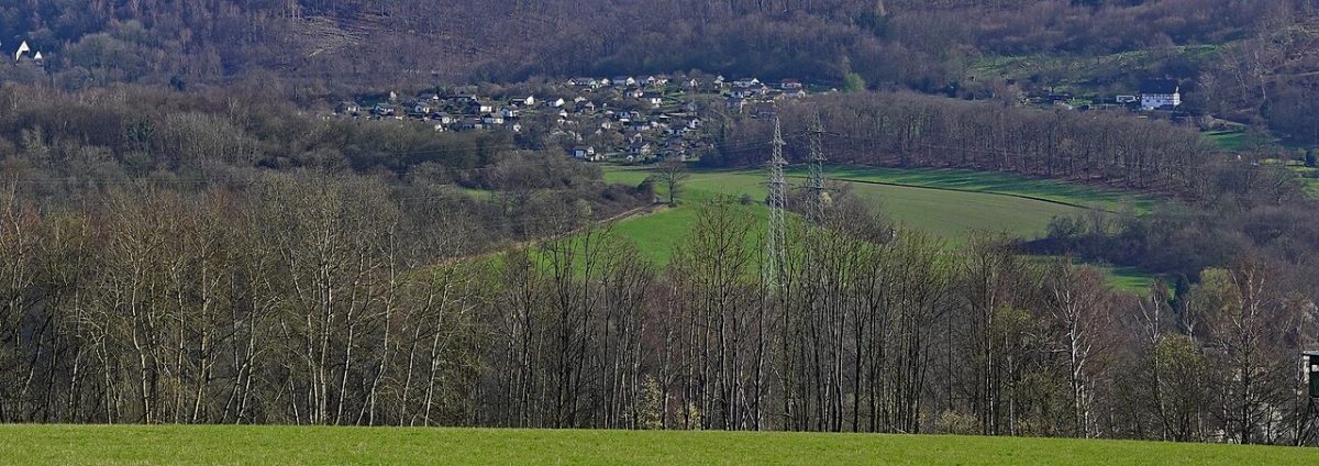 Auf der Saat