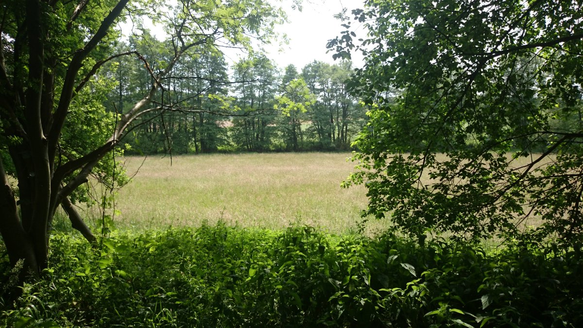 Elsebachtal (West)
