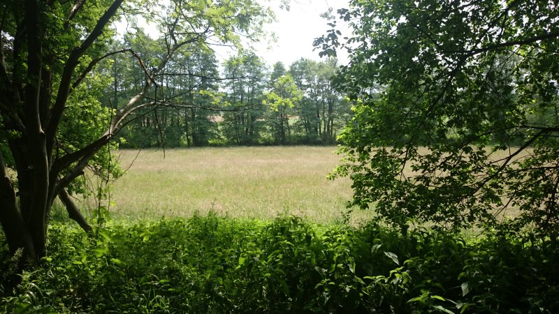 Elsebachtal