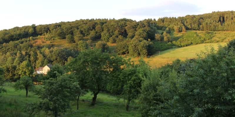 In der Hardt
