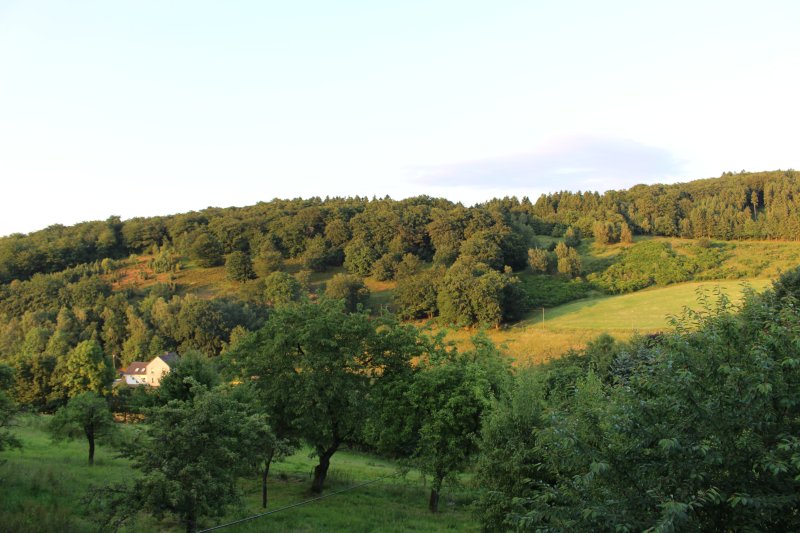 In der Hardt