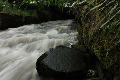 Unteres Baarbachtal