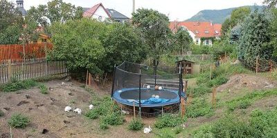 Binderburg