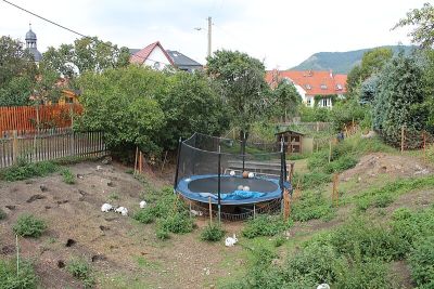 Binderburg