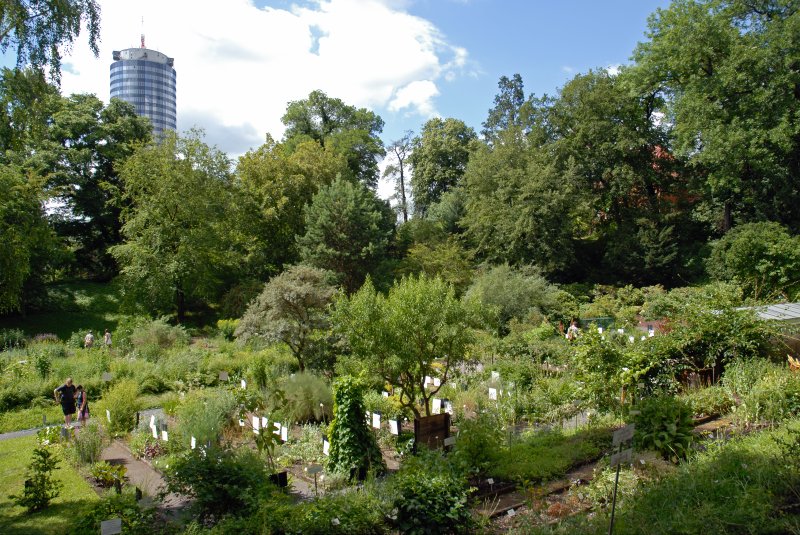 Botanischer Garten
