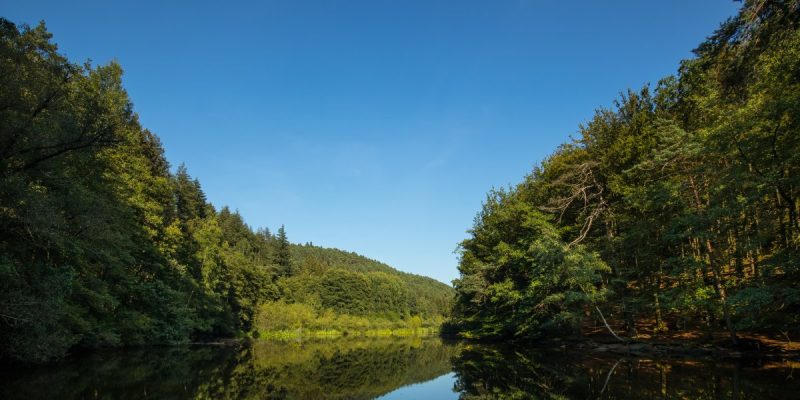 Aschbachtal-Jagdhausweiher