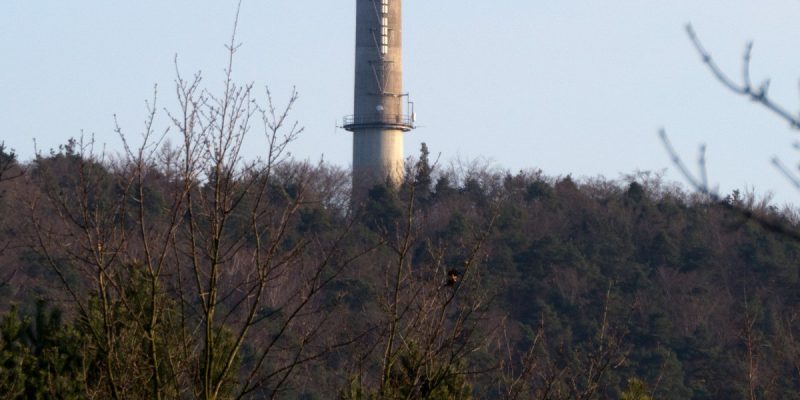 Fernmeldeturm Dansenberg
