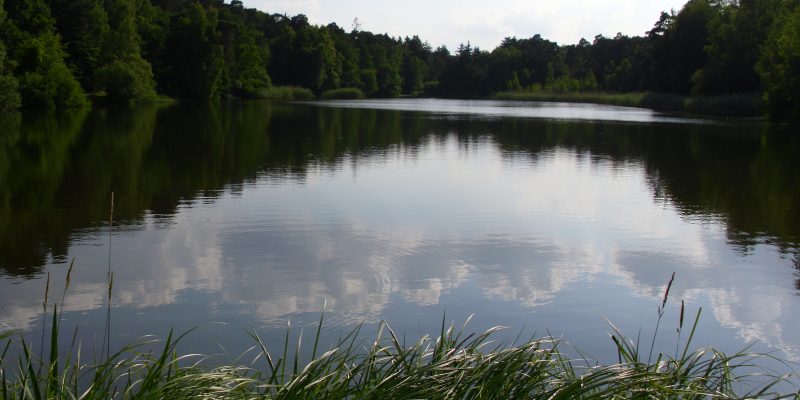 Gedenkstätte Strandbad Vogelwoog