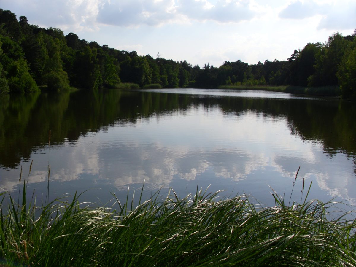 Gedenkstätte Strandbad Vogelwoog