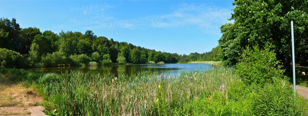 Vogelwoog - Schmalzwoog