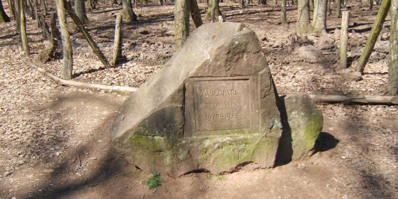 Wildpark Betzenberg