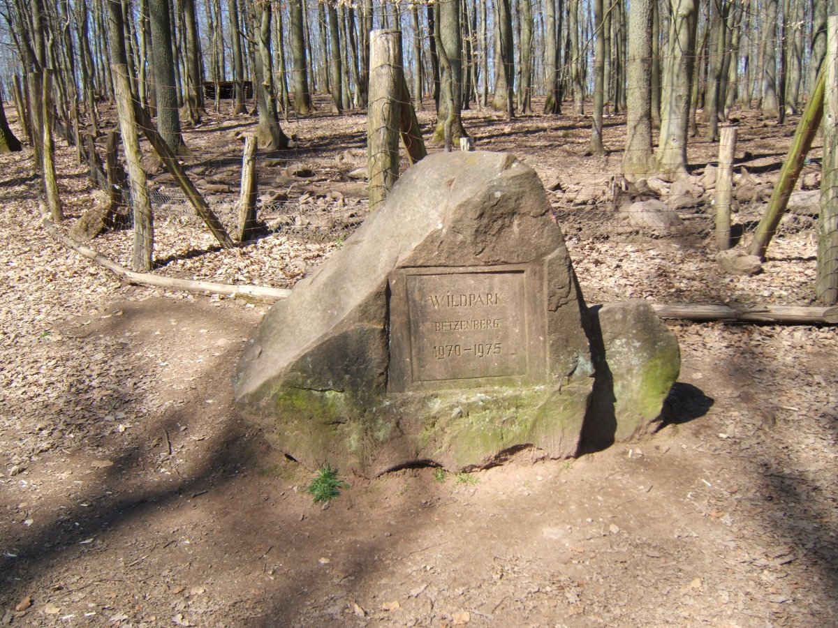 Wildpark Betzenberg