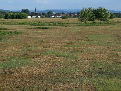 Alter Flugplatz