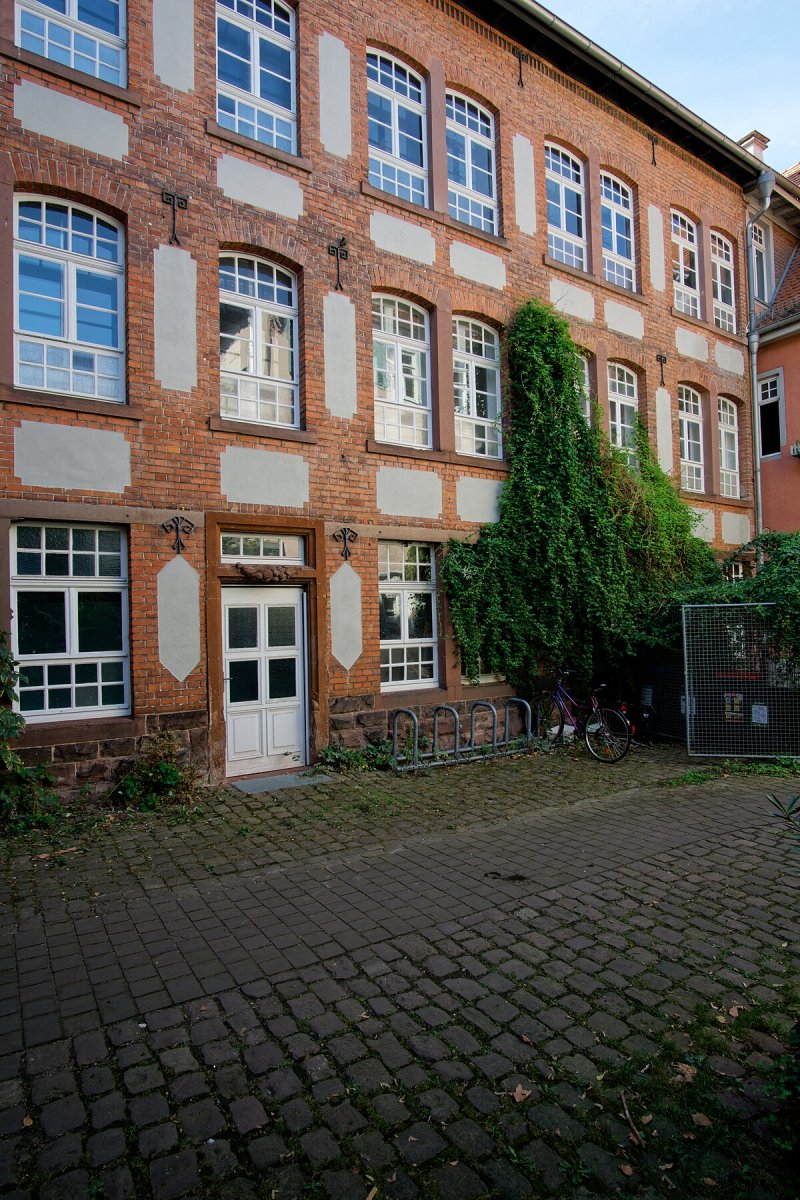 Die Spiegelfechter