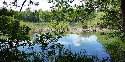 Erlachsee
