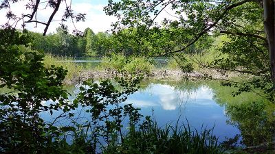 Erlachsee
