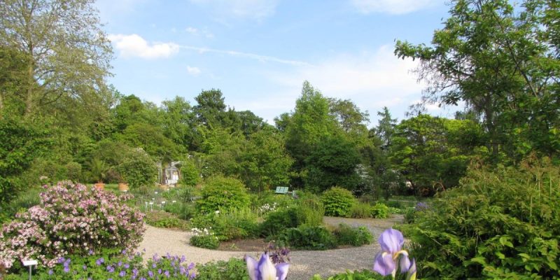 Botanischer Garten