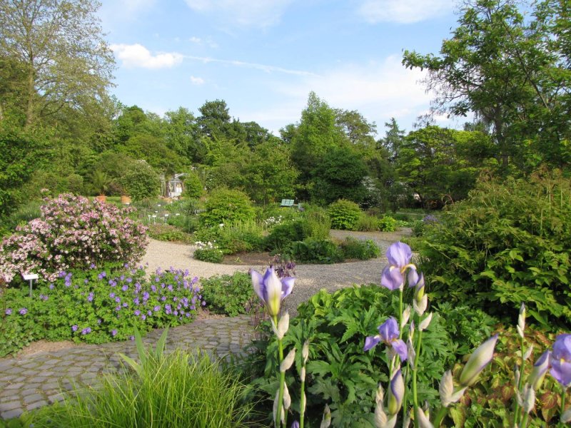 Botanischer Garten