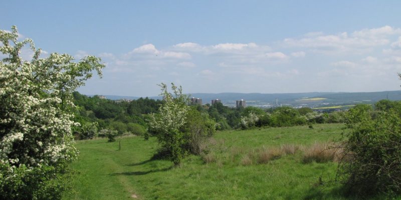 Dönche