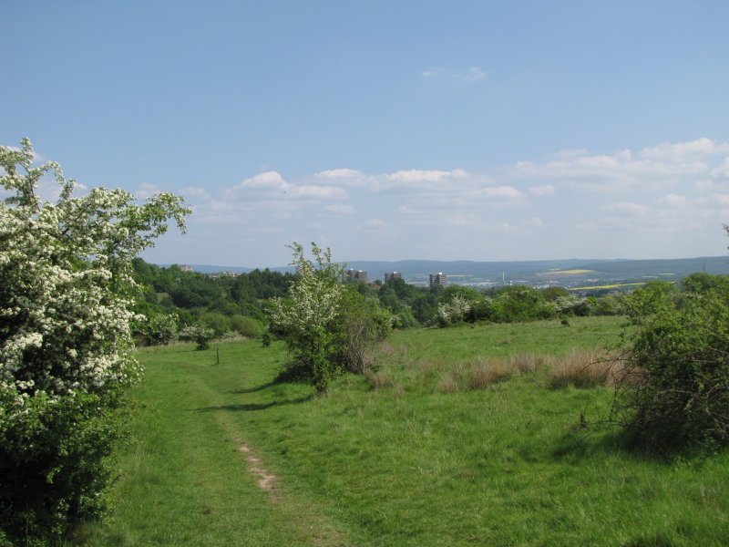 Dönche